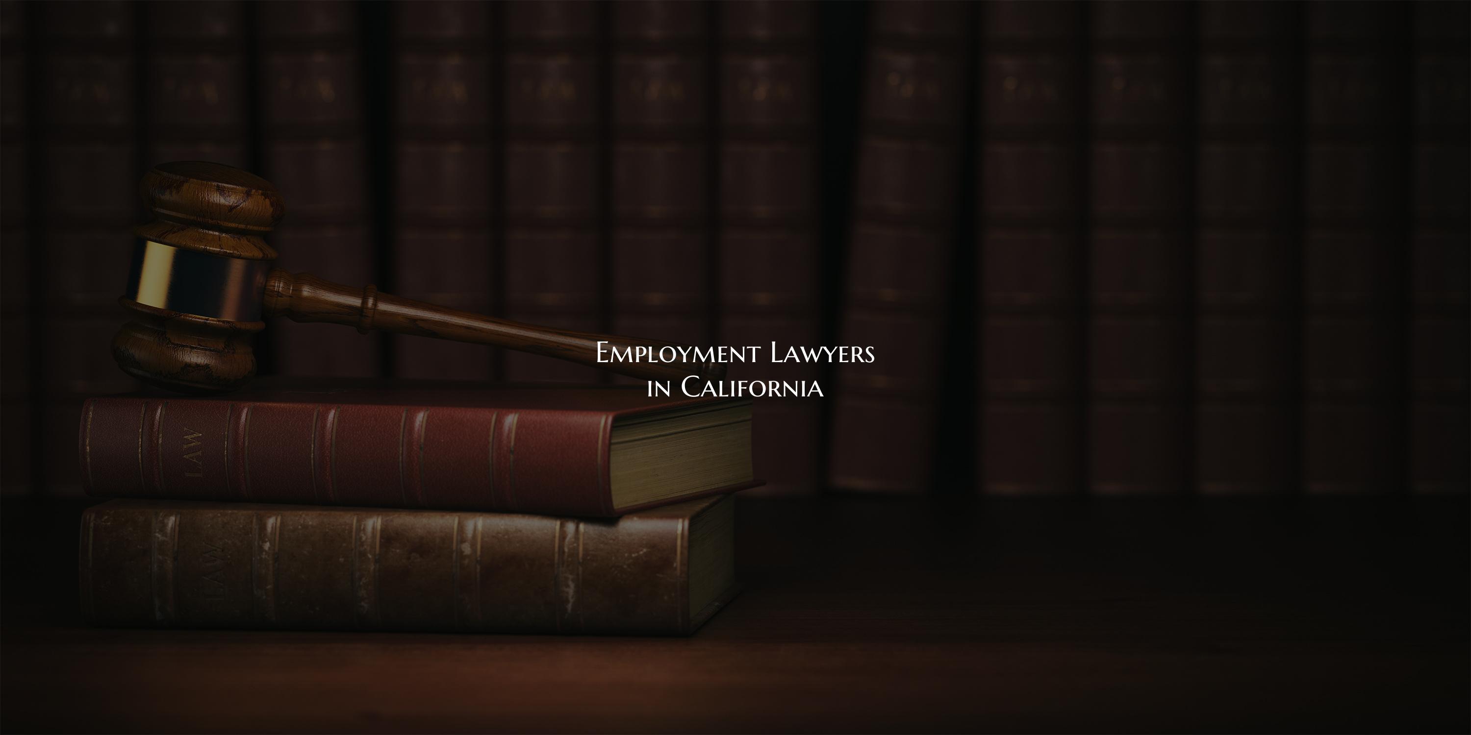 Employment Lawyers in California